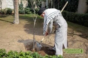درختکاری 2